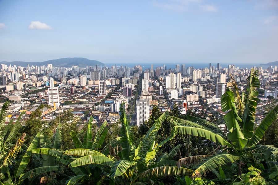 10-hour beach tour Santos: Shared with Tickets & Lunch - Santos beach time: a change of pace