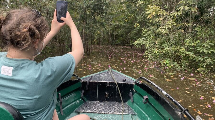 Amazonas: Boat Ride with a Local Amazonian - What $80 buys you in three hours