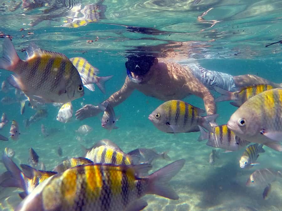 Angra dos Reis and Ilha Grande: Small-Group Fast-Boat Tour - Food, drinks, and the all-inclusive choice