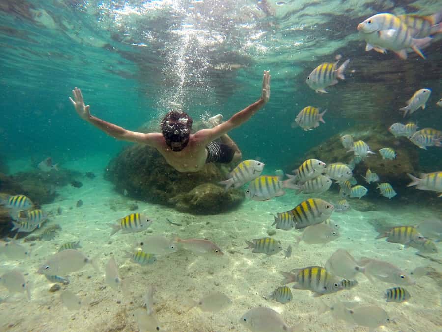 Angra dos Reis and Ilha Grande: Small-Group Fast-Boat Tour - Weather, comfort, and safety