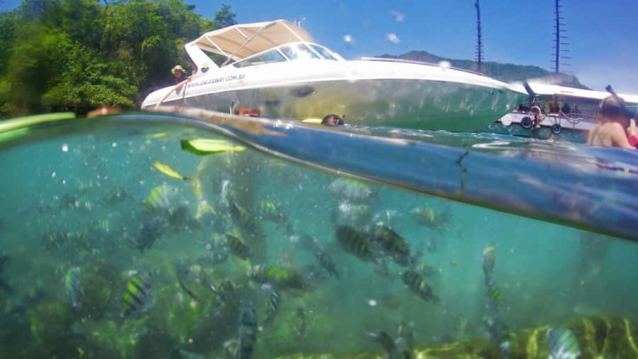 Angra dos Reis: Super Lagoa Azul Speedboat Tour - Who will enjoy this route most