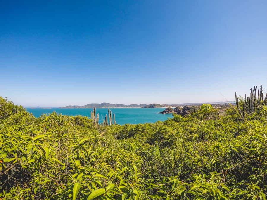 Armação dos Búzios: Walk Through the Natural Pools in Búzios - The main tradeoff: beautiful conditions are never guaranteed