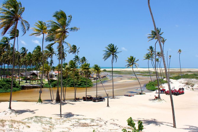 Barra de Punaú Tour - Departing from Natal - Key points to know before you book