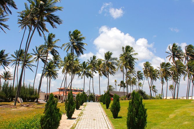 Barra de Punaú Tour - Departing from Natal - Leaving Natal at 8:00 in an air-conditioned vehicle