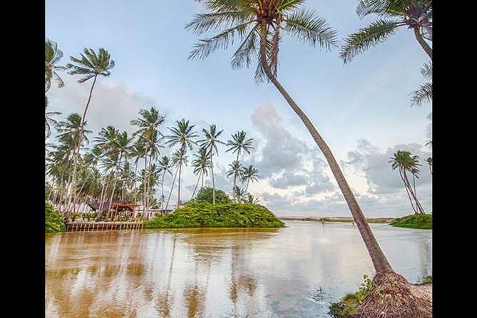 Barra de Punaú Tour - Departing from Natal - Who will enjoy this outing most