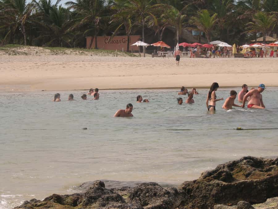 Barra do Cunhaú Full-Day Trip from Natal - What the guide and transport add