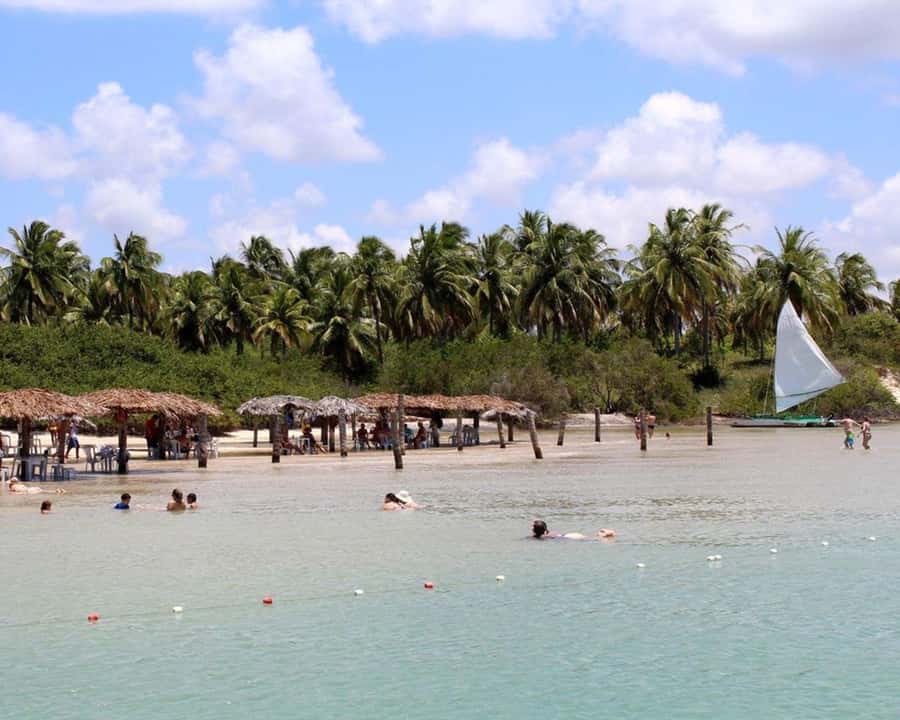 Barra do Cunhaú Full-Day Trip from Natal - Who will enjoy this day most