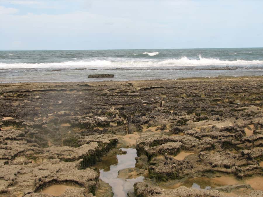 Barra do Cunhaú Full-Day Trip from Natal - A catamaran through the Curimataú River