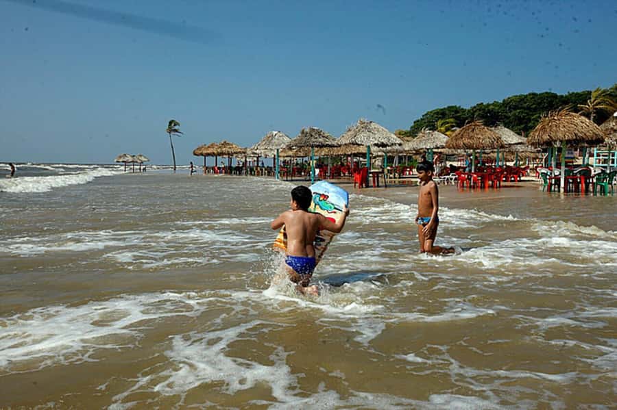 Belém: 2, 3 or 4-Day Marajó Island Excursion with Lodging - Marajoara culture at the Caruana Institute