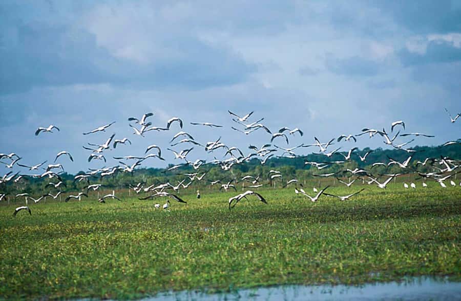 Belém: 2, 3 or 4-Day Marajó Island Excursion with Lodging - Is $400 per person a fair price?