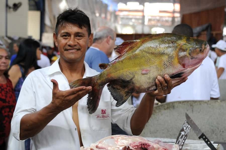 Belém: Half-Day City Tour with Ver-o-Peso Market Visit - Key points to know before booking