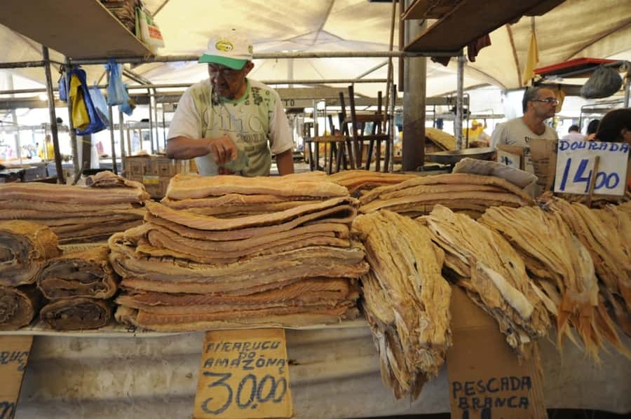 Belém: Half-Day City Tour with Ver-o-Peso Market Visit - Starting at Ver-o-Peso Market beside Guajará Bay