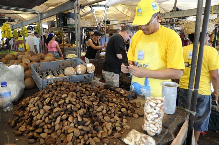Belém: Half-Day City Tour with Ver-o-Peso Market Visit - How the four-hour schedule works for you