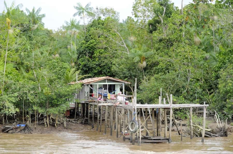 Belém: Half-Day Furos Boat Tour & Riverside Community Visit - A riverside community, not just a photo stop