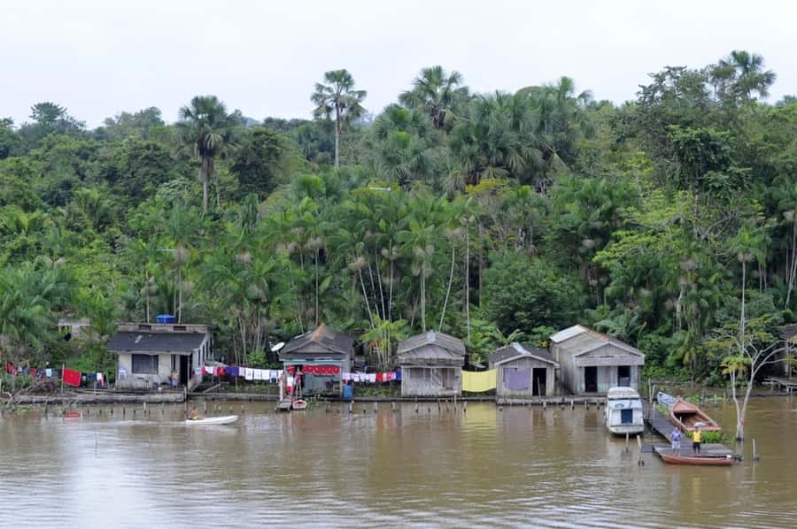 Belém: Half-Day Furos Boat Tour & Riverside Community Visit - Practical comfort on the water and in the forest
