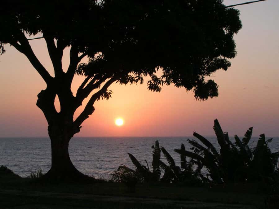 Belém: Ilha do Mosqueiro River Beach Trip - How much beach time should you expect?