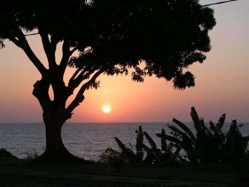 Belém: Ilha do Mosqueiro River Beach Trip - Guides, languages, and group size