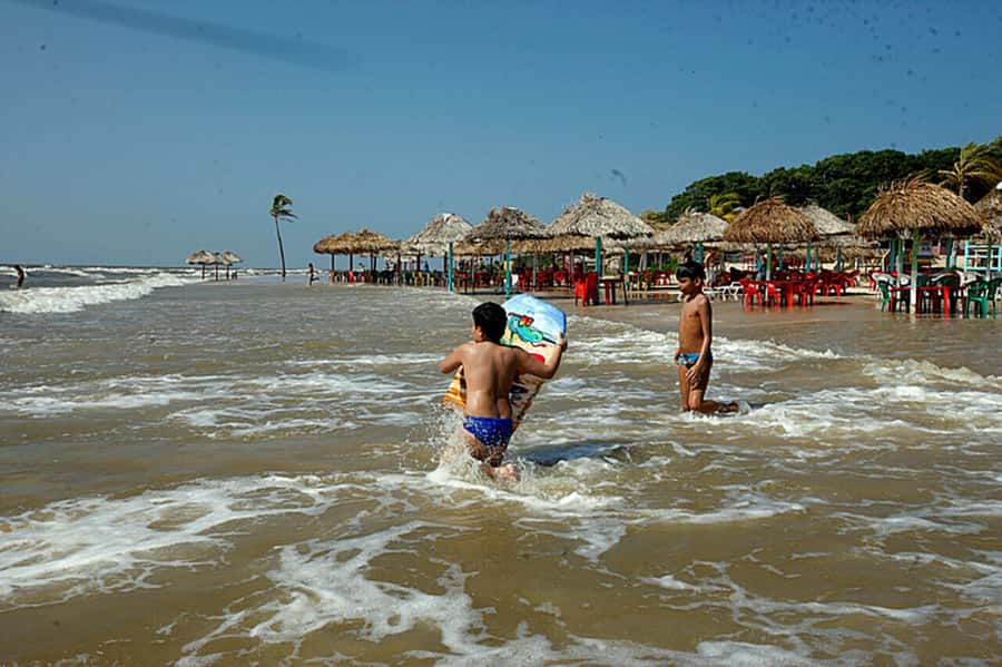 Belém: Marajó Island Day Trip with Buffalo Farm Visit - Is $160 a fair price?