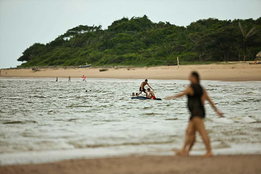 Belém: Marajó Island Day Trip with Buffalo Farm Visit - Who should book this Marajó day trip?