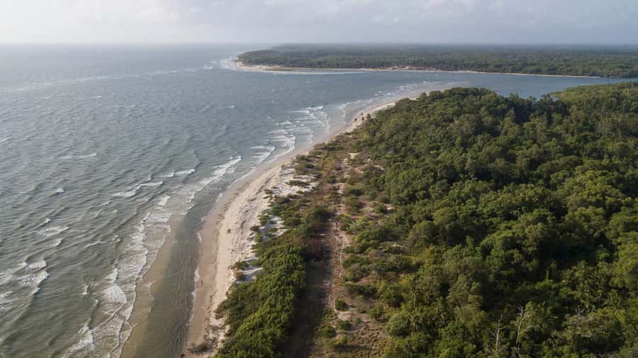 Belém: Marajó Island Day Trip with Buffalo Farm Visit - Soure: buffalo, leatherwork, and Pesqueiro Beach
