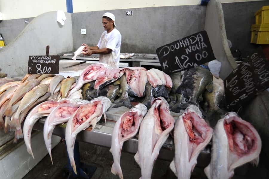 Belém: Ver-o-Peso Market and Full-Day City Tour with Lunch - Key points to know before booking