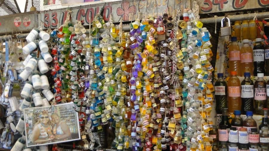 Belém: Ver-o-Peso Market and Full-Day City Tour with Lunch - Forte do Presépio: where Belém’s story begins