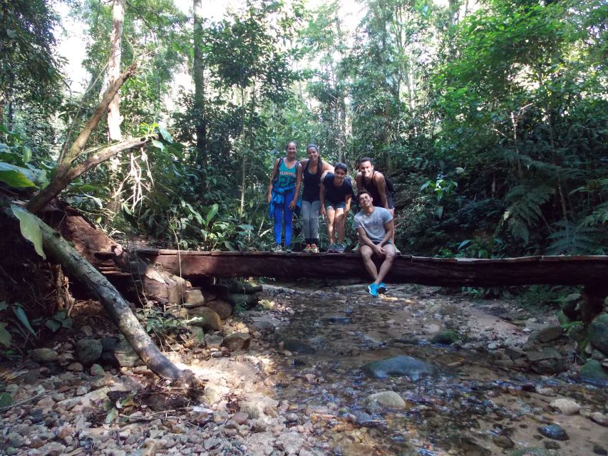 Bico do Papagaio Guided Hiking Tour in the Tijuca Forest - Who should book this Tijuca Forest hike