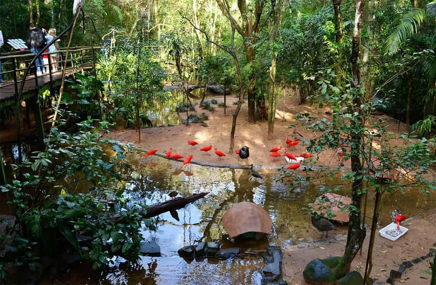 Brazilian Falls, Bird Park and Itaipu Dam - Guides, group size, and the feel of the day