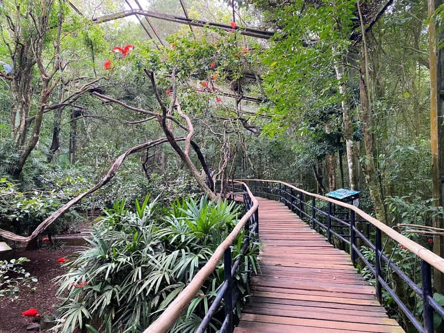 Brazilian Falls, Bird Park and Itaipu Dam - Is $160 good value?