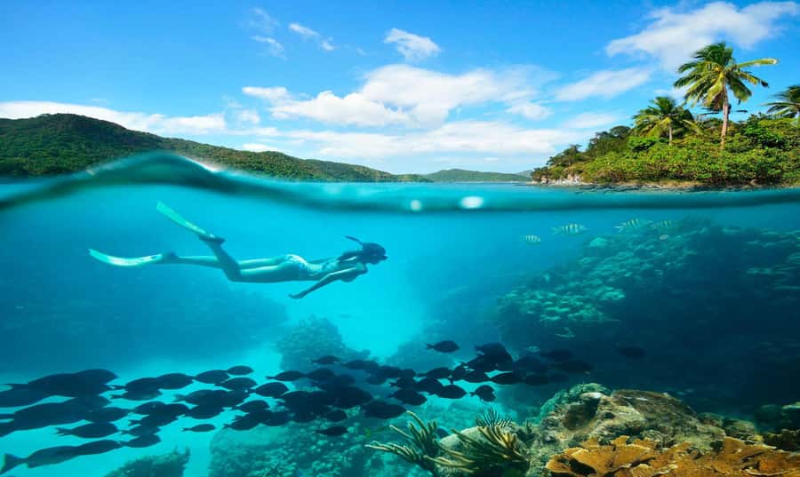 Buzios - DIVING EXPERIENCE - What the Búzios reef experience is really like