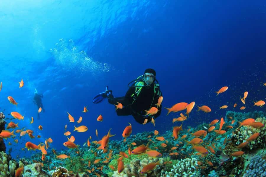 Buzios - DIVING EXPERIENCE - João Fernandinho Beach, not João Fernandes