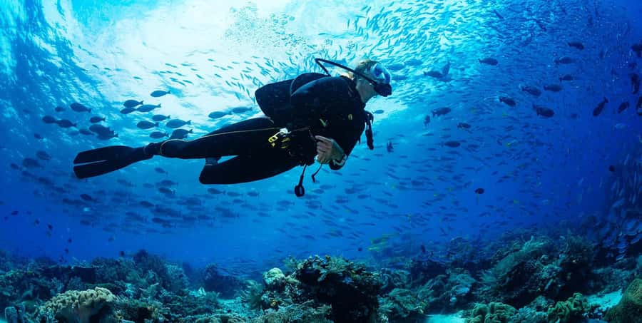 Buzios - DIVING EXPERIENCE - The 90-minute lesson and water adjustment