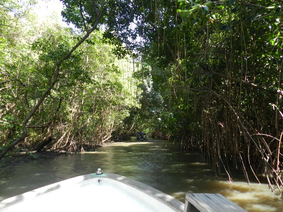 Caburé - Boat tour on the Rio Preguiças - Mandacaru and the lighthouse view