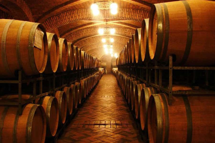 Canela/Gramado: South Wineries, Wine Train, & Italian Park - Reaching the wine country from Gramado