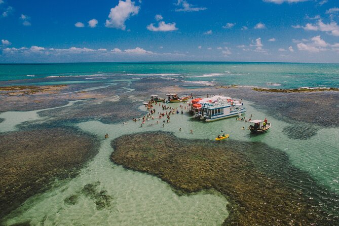 Catamaran Tour to the Seixas Natural Pools - Swimming with fish at Piscinas Naturais do Seixas