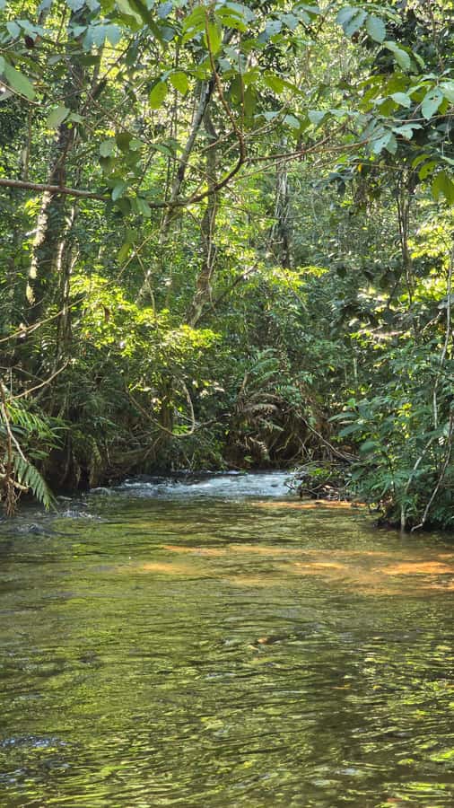 Chapada dos Guimarães:Cidade de Pedra + Vale do Rio Claro with Véu de Noiva - A closer look at Poço Verde floating
