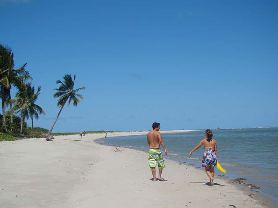 Colonial North Coast beaches - Full-Day Tour - Key points to know before booking