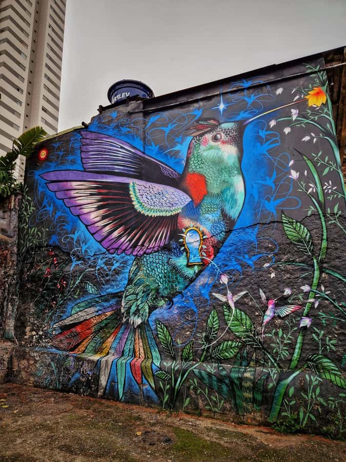 Companionship of a bilingual guide in São Paulo - Why the first day can be the best day