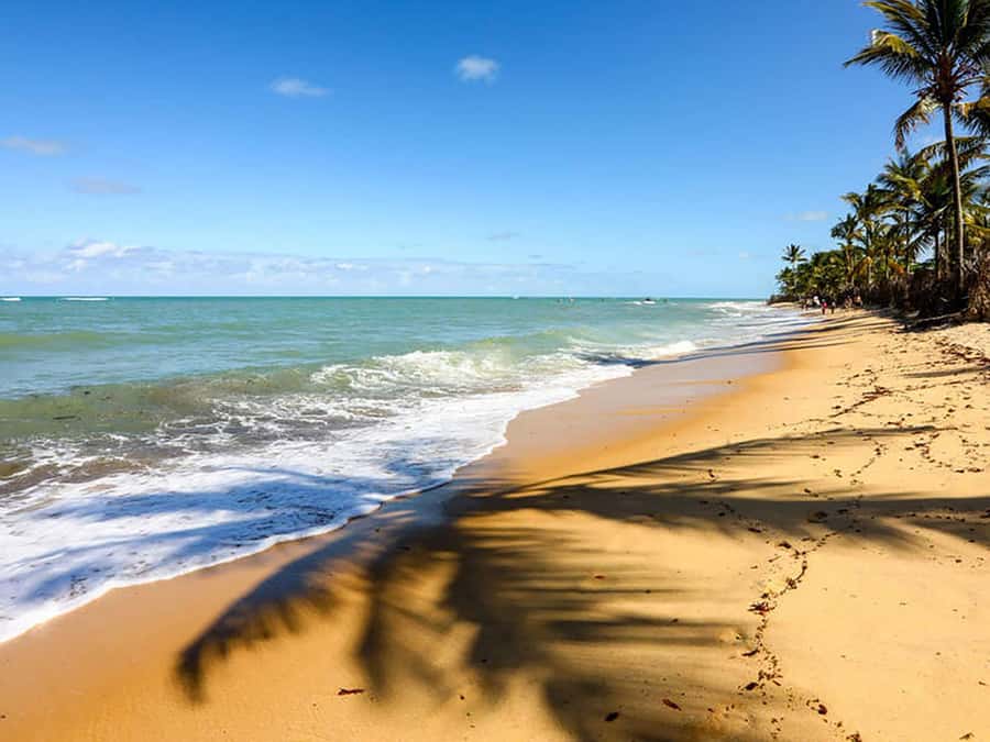 Cumbuco Adventure: Dune Rides, Lagoa do Catu & Coastal Views - Key points to know before booking