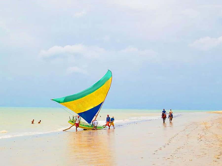 Cumbuco in 1 Day: Unforgettable Tour - Language and guide support