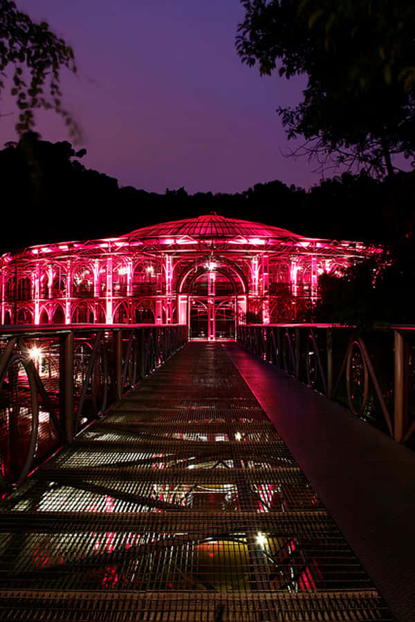 Curitiba: 4-Hour City-By-Night Tour with Dinner - Oscar Niemeyer Museum after dark