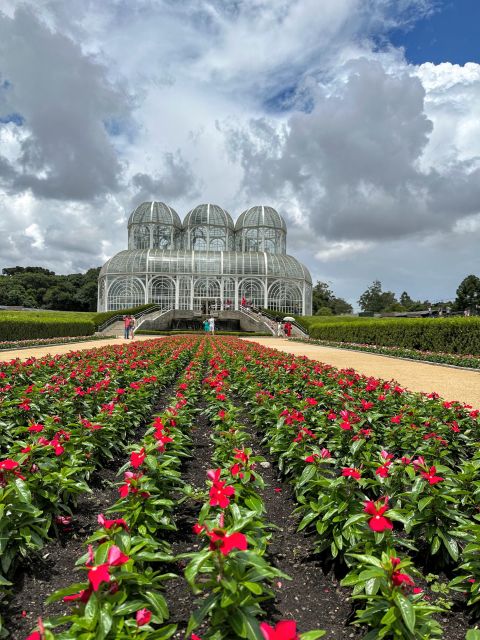 Curitiba: A Complete City Tour - Reading Curitiba through the historic center
