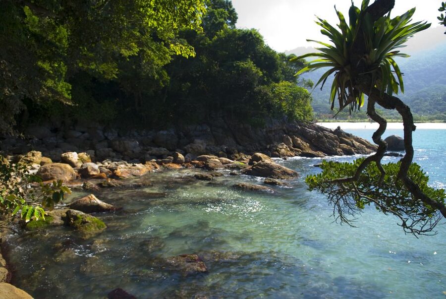 Day Tour to Trindade: Nature and Sea Adventure from Paraty - Caixa D’aço Natural Pool: the main reward