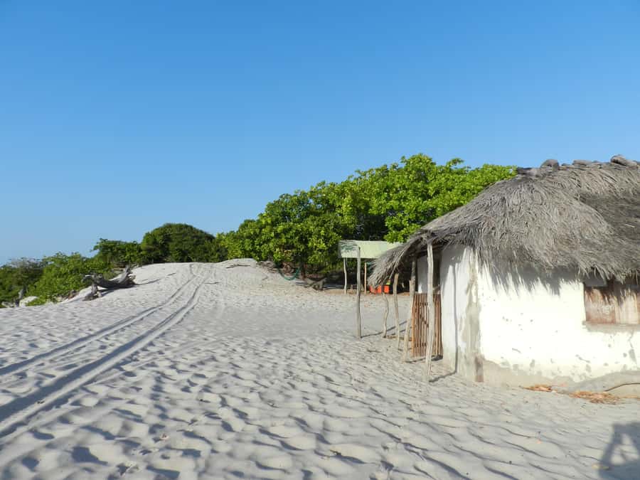 Day trip to Atins through the Lencois Maranhenses - Why this Atins day trip is worth your time