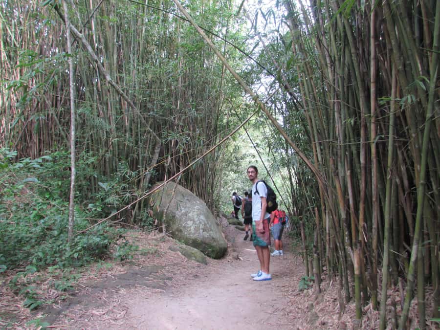 Discover Pedra do Telégrafo: Scenic Hike with Expert Guide - Key points at a glance