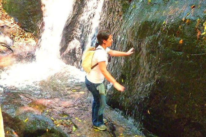 Ecological walk in sao paulo - Key points at a glance