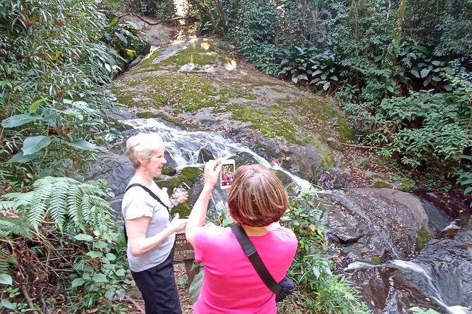 Ecological walk in sao paulo - Leaving São Paulo for Cantareira State Park