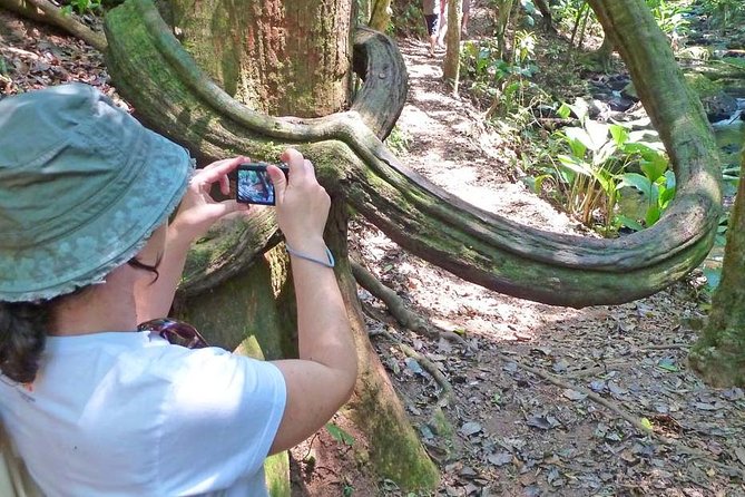 Ecological walk in sao paulo - What makes the guides worth paying for