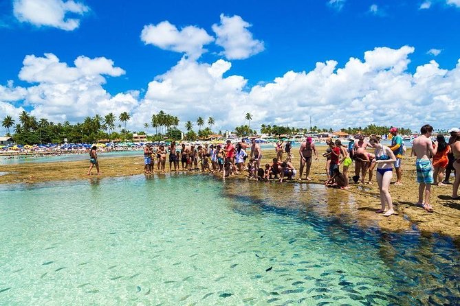 Excursion to Porto de Galinhas in Pernambuco - Why Porto de Galinhas works well as a day trip