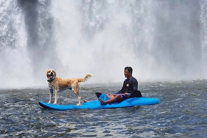 Experience tourism, trails, boat trips and 4x4 car. - Key points to know before you go